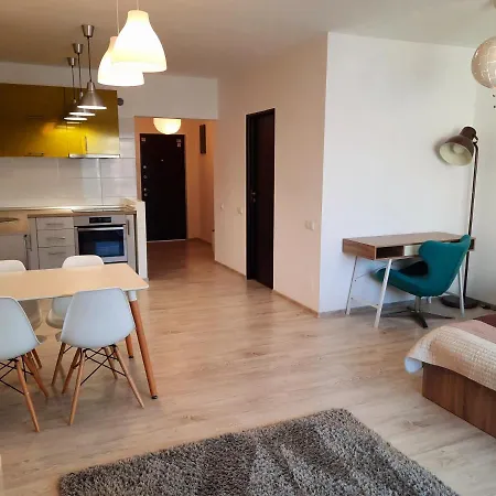 Apartment Dorobantilor View